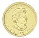 Maple Leaf 1/20oz d'or fin