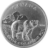 Canadien Wildlife Grizzly 1oz d'argent fin - deuxième choix