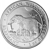 Somalia Elephant, African Wildlife 1oz d'argent fin - 2022