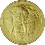 Afrique du Sud Big Five Elephant 1oz d'or fin - 2023
