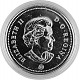 1 Canada Dollar 23,29g d'argent fin (2007 - 2011) 1 Canada Dollar 23,29g d'argent fin (2007 - 2011)