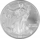 American Eagle 1oz d'Argent - 2005