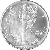 American Eagle 1oz d'Argent - 1990