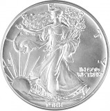 American Eagle 1oz d'Argent - 1989