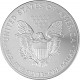 American Eagle 1oz d'Argent - 2013