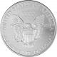 American Eagle 1oz d'Argent - 2009