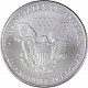 American Eagle 1oz d'Argent - 2007