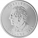 Maple Leaf 1oz d'Argent - 2024