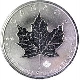 Maple Leaf 1oz de platine fin diff.