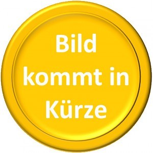 Ronde du centime fribourgeois 14e siècle – 3,92g d'or