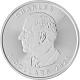Maple Leaf 1oz d'Argent - 2025 (TVA Normale)