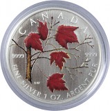 Maple Leaf 1oz d'Argent - coloré