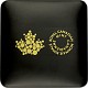 5 Cents Canada Castor 31,39g d'argent fin 2025 5 Cents Canada Castor 31,39g d'argent fin 2025