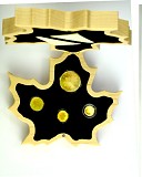 Maple Leaf Pure Gold Fractional Set 43,68g d'Or fin - 2020