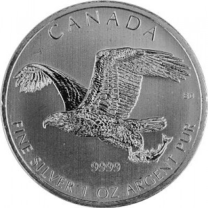 Bald Eagle (Aigle Chauve) 1oz d'argent fin - 2014