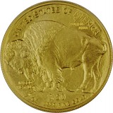 American Buffalo 1oz d'or fin - 2013